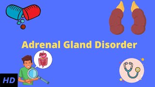 Adrenal Gland Disorder Everything You Need to Know [upl. by Beach925]