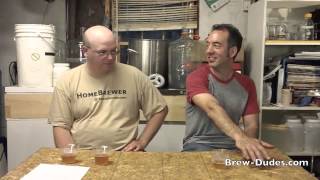 Brewing a Saison With Brettanomyces Experiment [upl. by Eillen]