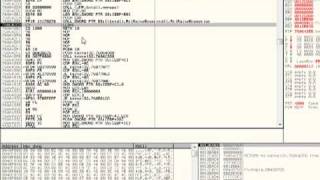 Ollydbg Tutorial 7 [upl. by Ulrike653]