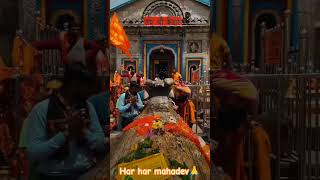 Har Har mahadev 🙏youtubeshorts kedarnath harharmahadev trending ytshorts [upl. by Ettenauq366]