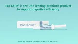 Protexin ProKolin  Digestive Health Drive [upl. by Junna]