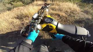 Backroad Cruisin  2022 Honda Grom Adventure [upl. by Ree837]