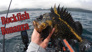 Neah Bay WA Multispecies Kayak Fishing [upl. by Eednarb]