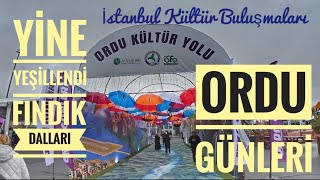 İstanbul Kültür Buluşmaları Ordu Günleri [upl. by Aiekal]