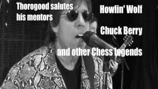 George Thorogood and The Destroyers quot2120 South Michigan Avenue Sizzle Reelquot [upl. by Royal]