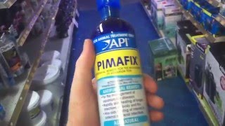 Dosing Pimafix to treat fungal infection [upl. by Rhea]