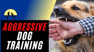 Most Complete Aggressive Dog Training Tutorial using Positive Reinforcement [upl. by Muryh739]