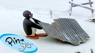 Productive Pingu 🐧  Pingu  Official Channel  Cartoons For Kids [upl. by Aihseyt]