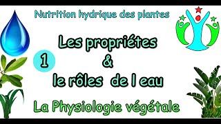 nutrition hydrique des plantes les propriétés et le rôle de leau physiologie végétale S4 [upl. by Netsyrk555]