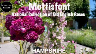 🌎 Mottisfont  Old English Rose Collection  Hampshire  UK [upl. by Anwahsed409]