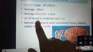 Placenta and Cord Abnormalities [upl. by Rramahs]