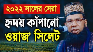 তৈয়েবুর রহমান  Taibur Rahman  Taibur rahmanহৃদয় কাঁপানো ওয়াজ সিলেট [upl. by Hsirahc165]