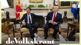 Wat als Rutte zijn kat naar Trump had gestuurd  de Volkskrant [upl. by Aisor]