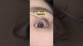 Kia Aap Ko Bhi Aisi Lashes Chahye shorts bestmakeuptransformations2024beautytipsforeverygirls [upl. by Hollah]