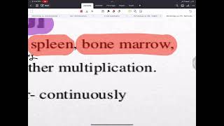 Microbiology SALMONELLA Part 1  AlAmeed university [upl. by Aiduan]