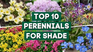 10 Beautiful Perennial Flowers for Shady Gardens 👌🌿💚  PlantDo Home amp Garden [upl. by Artimas]