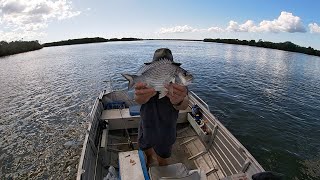 Logan River Fishing 19th May 2023 [upl. by Littman]