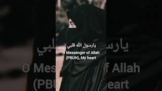 fiya hubbun في حب lyrics translation  Arabic nasheed  female version [upl. by Congdon]