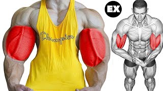 Forceful Bicep Workout for Bigger Growth 6 Ranked Exercises [upl. by Ettezyl693]