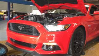 2015 Mustang GT Makes 900 RWHP with a Vortech Supercharger [upl. by Marlyn391]