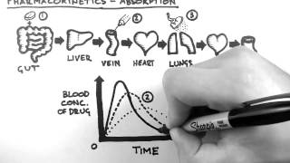 Pharmacokinetics 2  Absorption [upl. by Ainekahs]