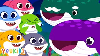 Five Little Baby Shark Jumping on the Whales  YouKids Nursery Rhymes [upl. by Berget899]