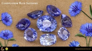 Cornflower Blue Sapphire Exotic Rare and Beautiful [upl. by Yoong]