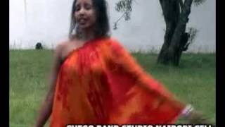 Sagal Arts Heestii GUDI New Video 2011flv [upl. by Attenod]