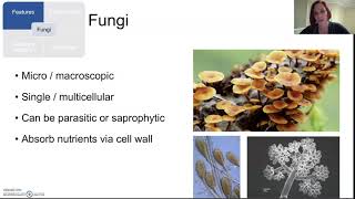 Pathogenic organisms Part 2 [upl. by Pfister]