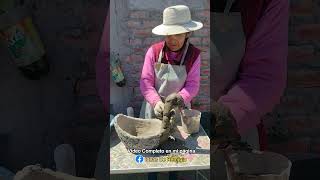 Cómo hacer una Maceta de Cemento con Piedra en Forma de Pato diy cemento maceta manualidades [upl. by Pitarys820]