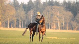 VIDEO Andorra and me to the stars [upl. by Gualtiero]