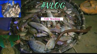 Fishing…… Part 2 10 to 12 Different types of Fish 🐠 We ￼￼ ￼Catch [upl. by Ttej430]