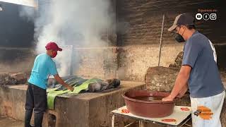 Elaboración de la barbacoa estilo Barbacoa el Taco Ranchero de Tulancingo [upl. by Seek]