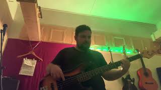 The Smashing Pumpkins  1979 Bass Cover [upl. by Koby]