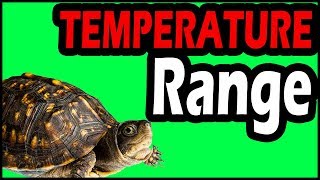 Right Water Temperature for Your Turtle Tank [upl. by Ttenyl]