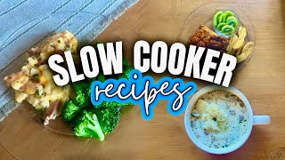 3 Easy Slow Cooker Recipes  Crockpot Recipes  Whats for Dinner  MEL COOP [upl. by Acile278]