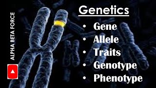 Gene Alleles  Genetics terms Explained in Tamil [upl. by Ddej63]