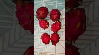 dragon fruithealthy fruit ytshorts food dragofruitviralvideo viralsong [upl. by Delaryd]