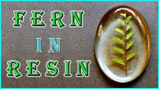 DIY  Embedding fern in Epoxy resin [upl. by Diarmit]