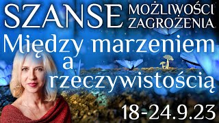 1824923 Między marzeniem a rzeczywistością Szanse możliwości… [upl. by Aicekal]