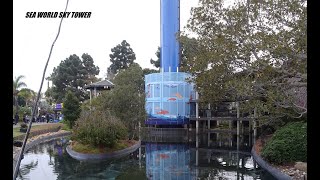 Sea World Skytower HD and Christmas Fireworks Emperor Roller Coaster Electric Eel off ride [upl. by Nosaj]