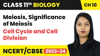 Meiosis Significance of Meiosis  Cell Cycle and Cell Division  Class 11 Biology Ch 10  CBSE [upl. by Edana]