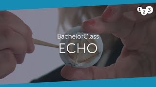 Echo BachelorClass  Your introduction to basic echocardiography [upl. by Eziechiele]