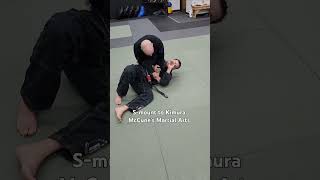 Bjj submission Smount to kimura lock martialarts grappling submission [upl. by Mahau]