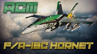 DCS F18 ACM Modes Tutorial [upl. by Jolynn543]