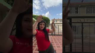 YO BAILANDO HORA LOCA DE RAWAYANA OFFICIAL SHEYLI MONTIEL [upl. by Borras]