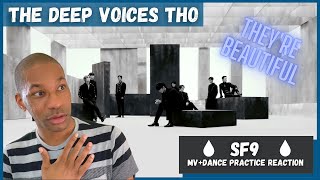 SF9 Tear Drop MVDance Practice REACTION  Im going to like these guys [upl. by Fried]