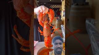 Could you finish an ENTIRE MAINE LOBSTER lobster lasvegas foodchallenge [upl. by Leclair]