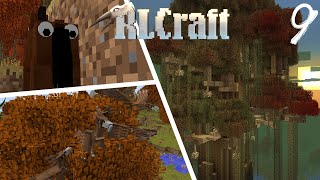 Massive Tree House amp Crazy Birds That Hurt  Ep9  RLCRAFT Minecraft [upl. by Corson796]