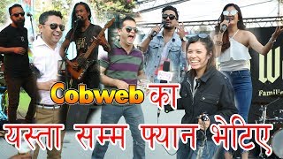 DurbarMarg Street Festival मा Cobweb का यस्ता सम्म फ्यान भेटिए Public Interaction Live  Vj Shrena [upl. by Sherwynd674]